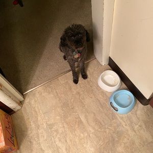 Meet your Posher, Kendall